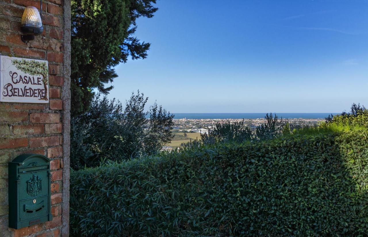 Casale Belvedere "Il Melograno" Massarosa Exteriér fotografie